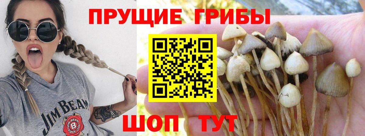 Кызыл  наркотики  Вход с VPN  Галлюциногенные грибы MAGIC MUSHROOMS 